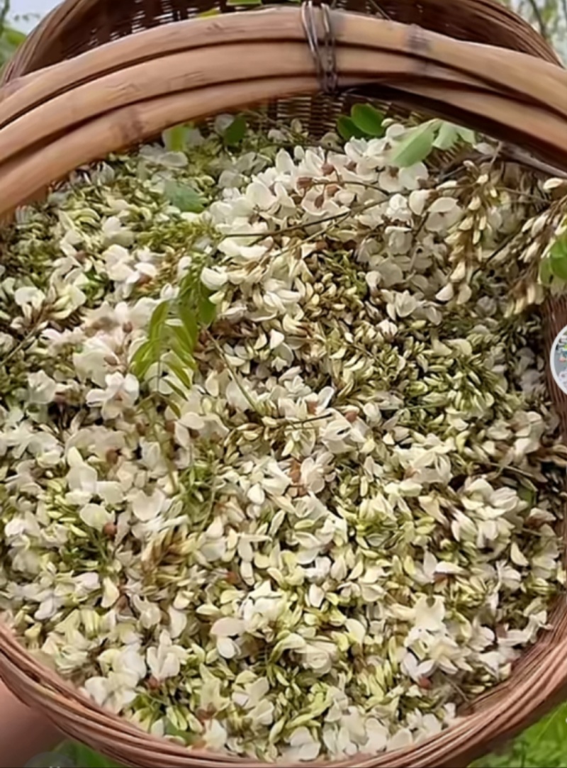 槐花