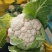 山东济宁金乡花菜大量供应，质量好，价格实惠