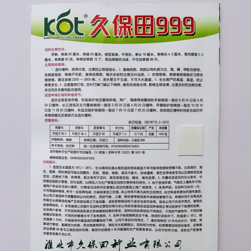 久保田999薄皮椒种子早熟大果泡椒种子高产大青椒种子