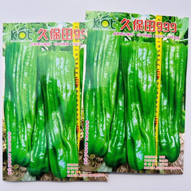 久保田999薄皮椒种子早熟大果泡椒种子高产大青椒种子