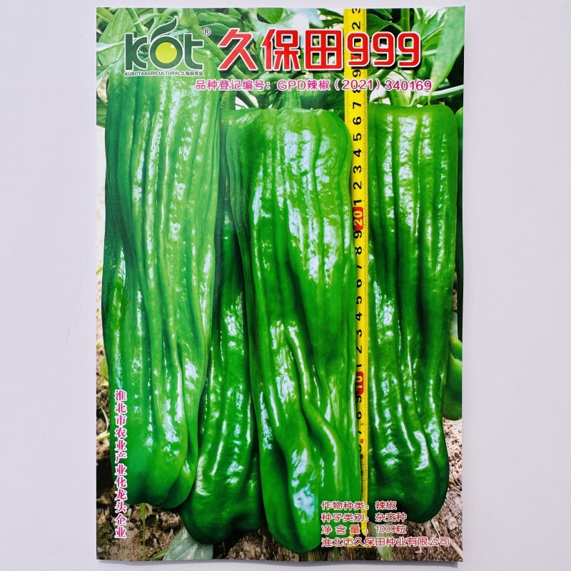 久保田999薄皮椒种子早熟大果泡椒种子高产大青椒种子