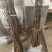青皮无花果苗，皮薄无核，风味甜美，产量高，包邮包活