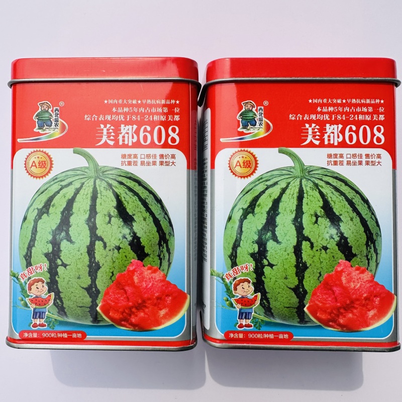 美都608西瓜种子糖度高抗重茬大果美都西瓜种籽易坐果早熟