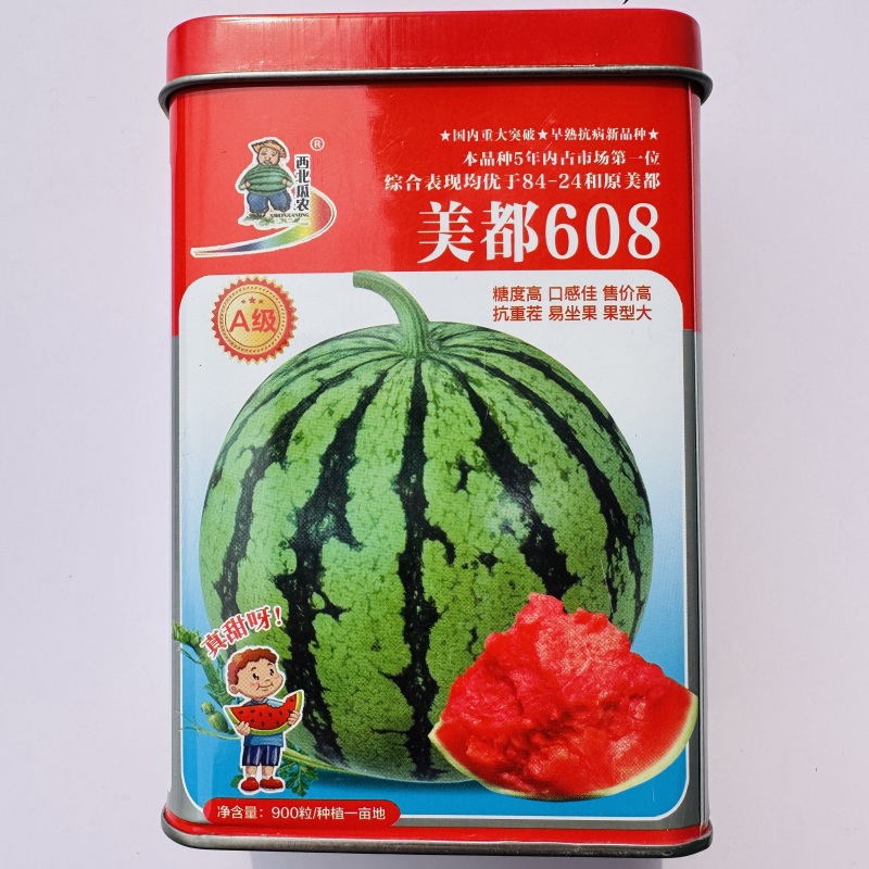 美都608西瓜种子糖度高抗重茬大果美都西瓜种籽易坐果早熟