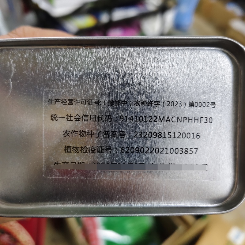 美都608西瓜种子糖度高抗重茬大果美都西瓜种籽易坐果早熟