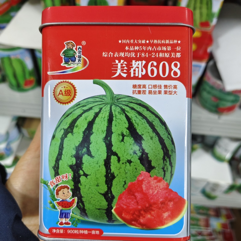 美都608西瓜种子糖度高抗重茬大果美都西瓜种籽易坐果早熟