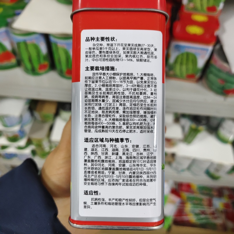 美都608西瓜种子糖度高抗重茬大果美都西瓜种籽易坐果早熟