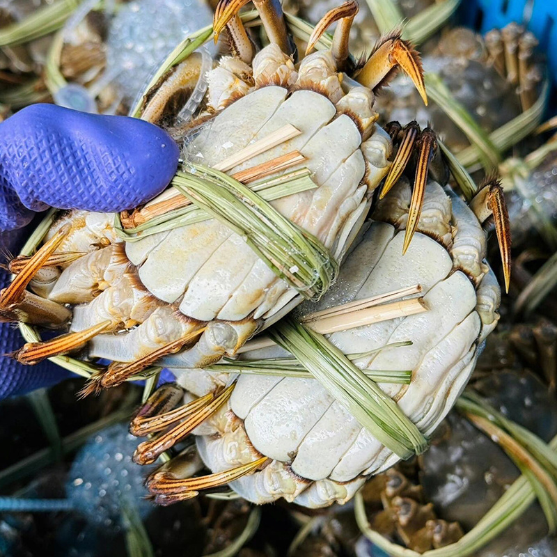 苏霸王阳澄湖大闸蟹集采批发专属企业团购员工福利社区团购劵