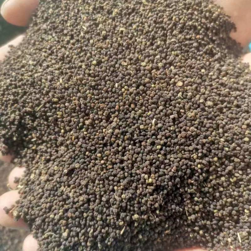 白花莱子10吨产地新疆