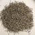 利川红茶，功夫红茶芽茶厂家直销2025年的新茶欢迎
