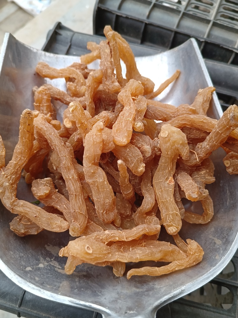 黄精片蒸晒个子熟片鸡头黄精片大中小片精选过筛