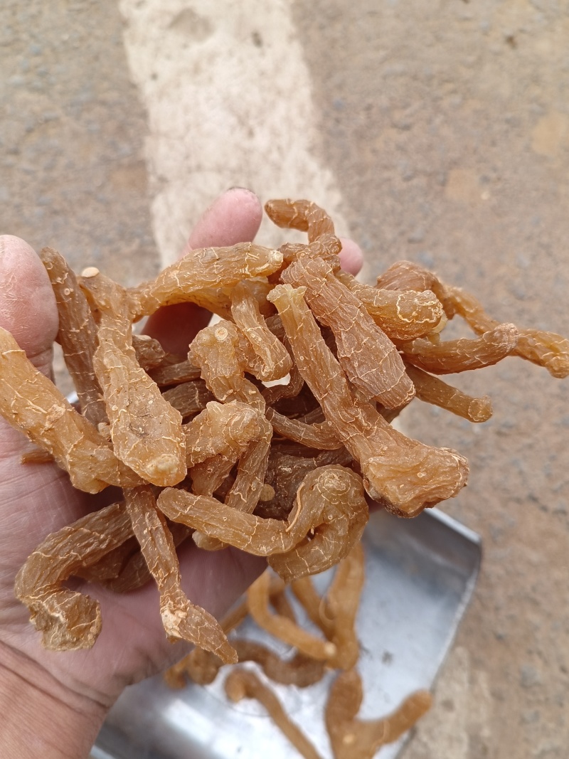 黄精片蒸晒个子熟片鸡头黄精片大中小片精选过筛