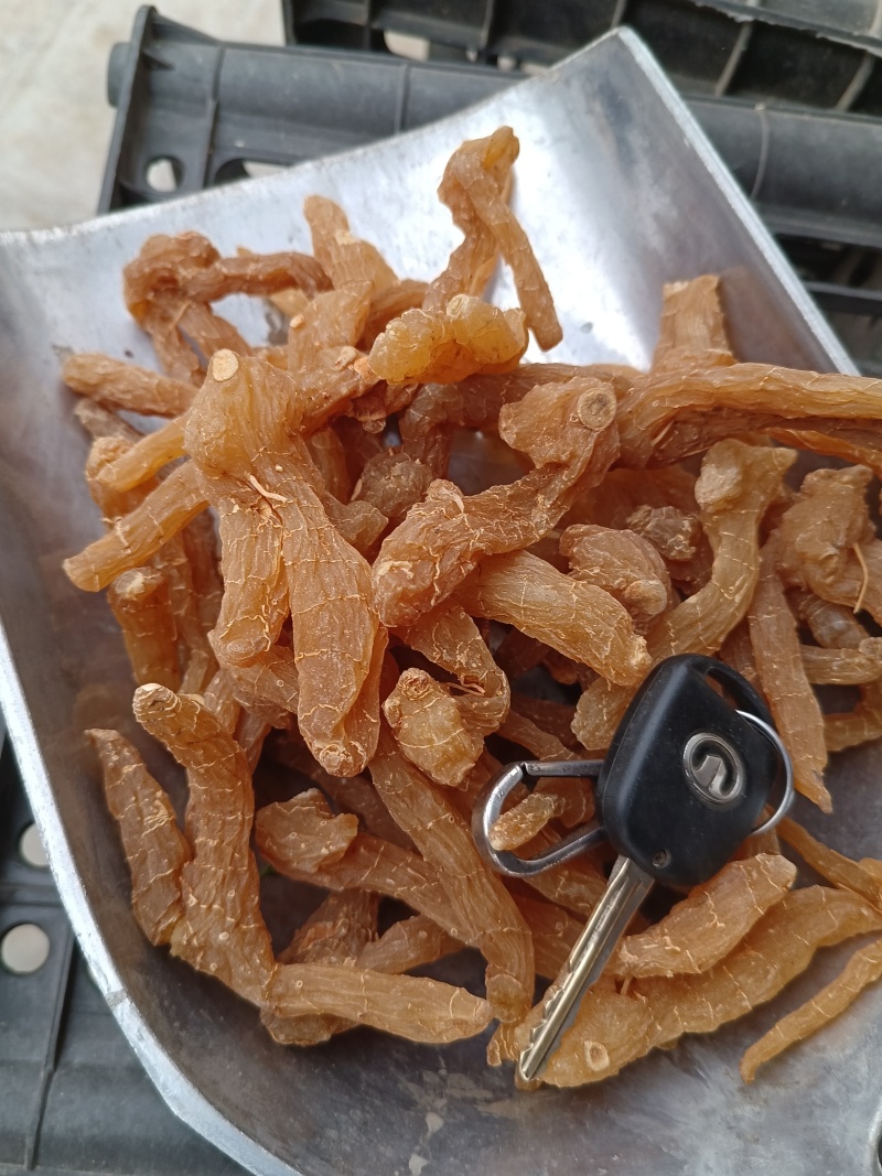 黄精片蒸晒个子熟片鸡头黄精片大中小片精选过筛