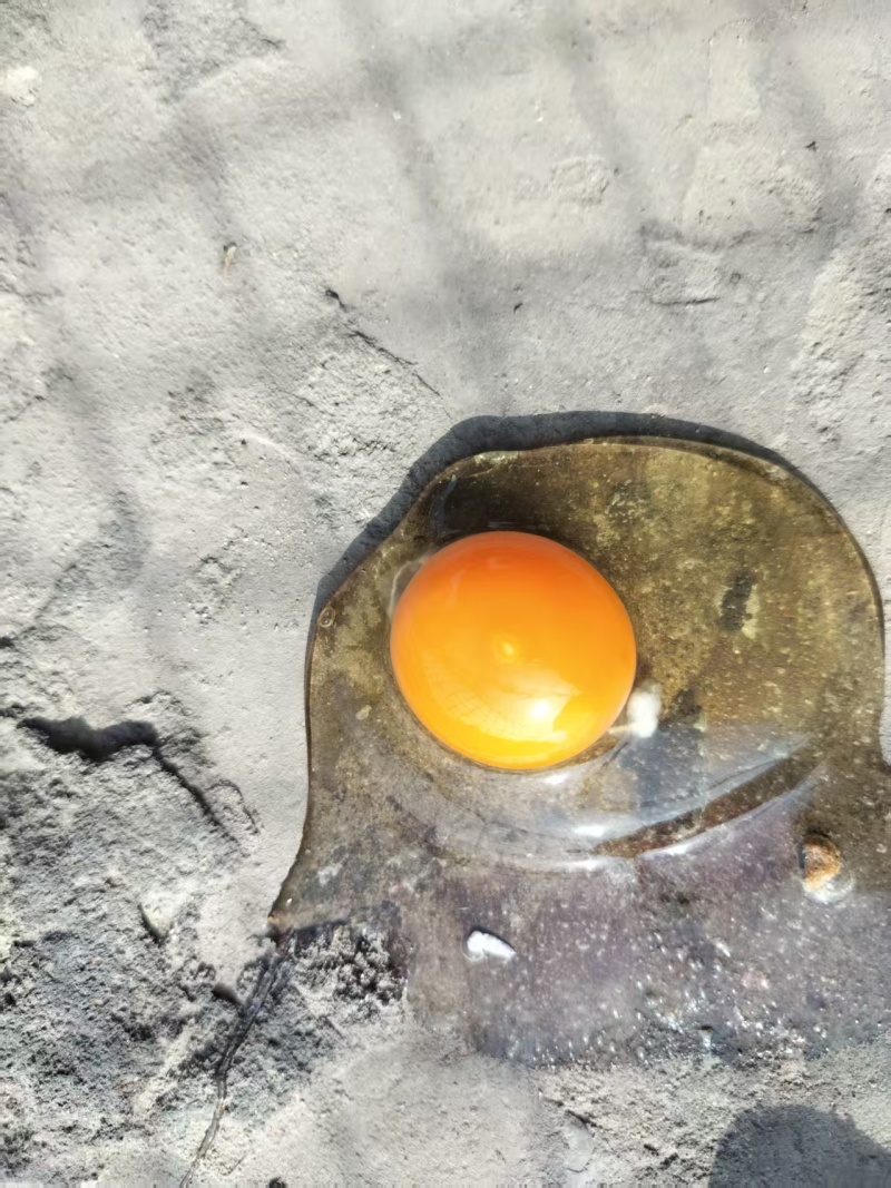 土鸡蛋乌鸡蛋拼装大量供应各种规格欢迎来电采购