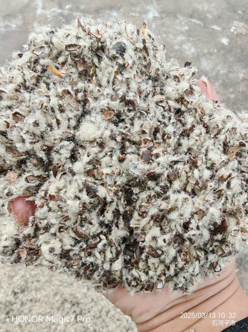 优质棉籽壳，磨盘棉籽壳，新疆棉籽壳，河北棉籽壳厂家直销
