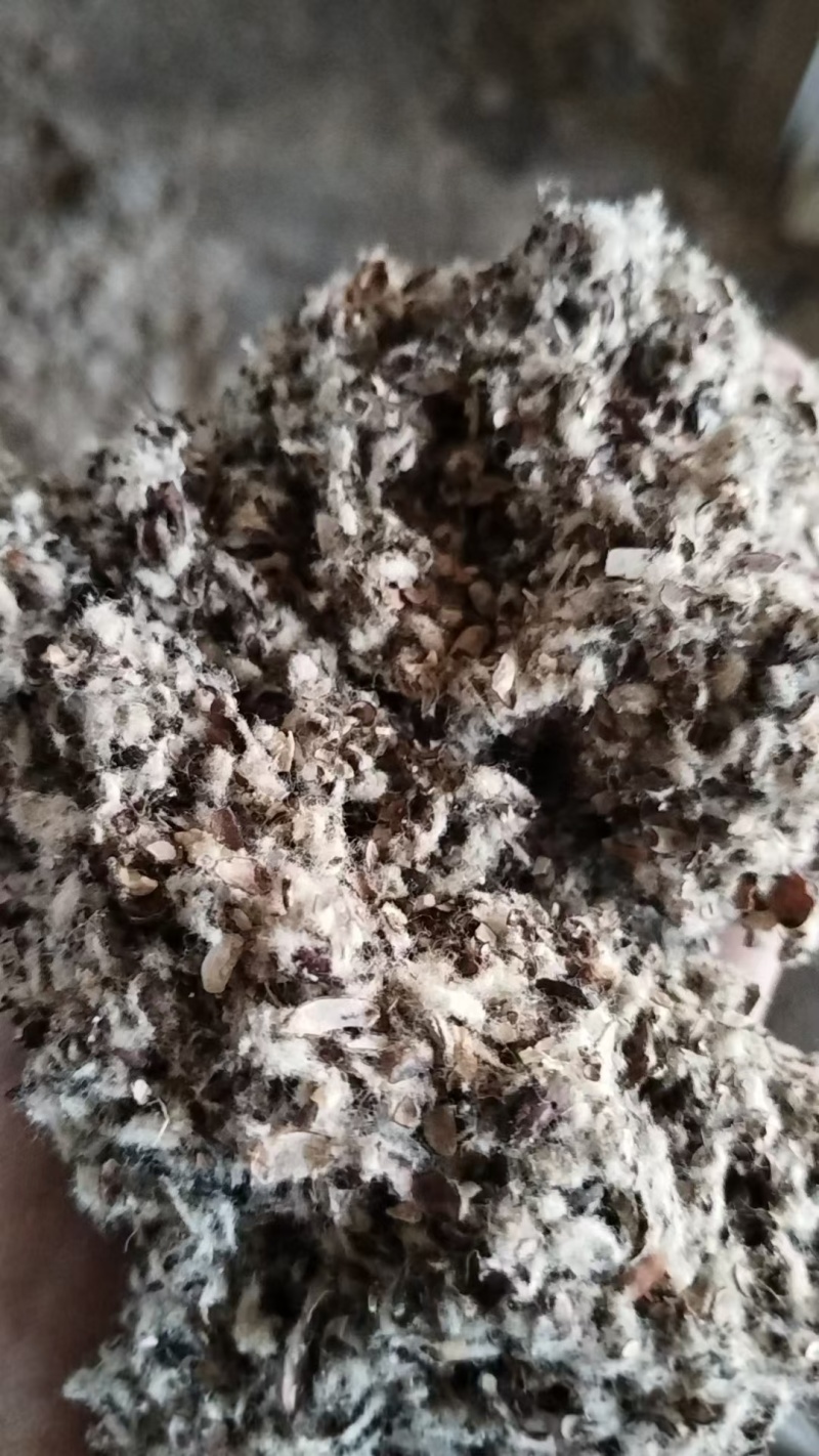 优质棉籽壳，磨盘棉籽壳，新疆棉籽壳，河北棉籽壳厂家直销