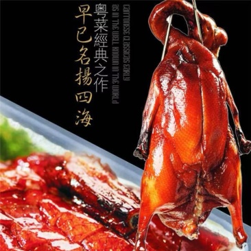 鹅-黑棕鹅