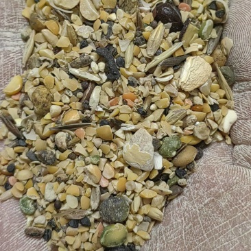 豌豆碎