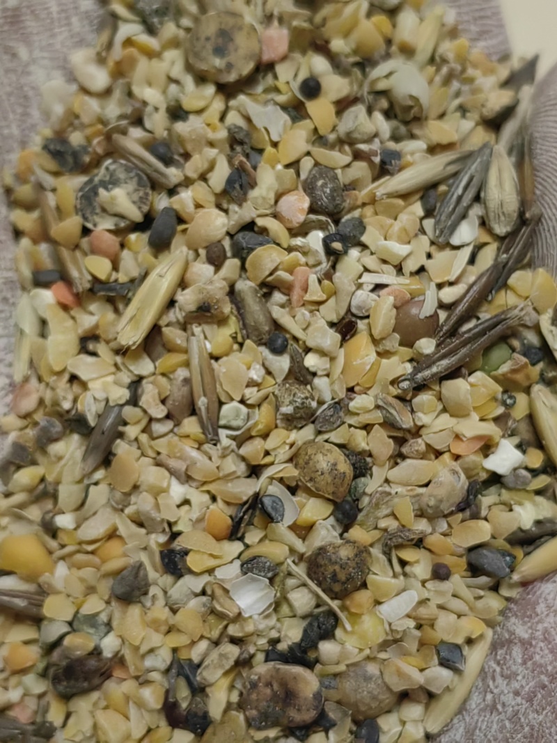 豌豆碎