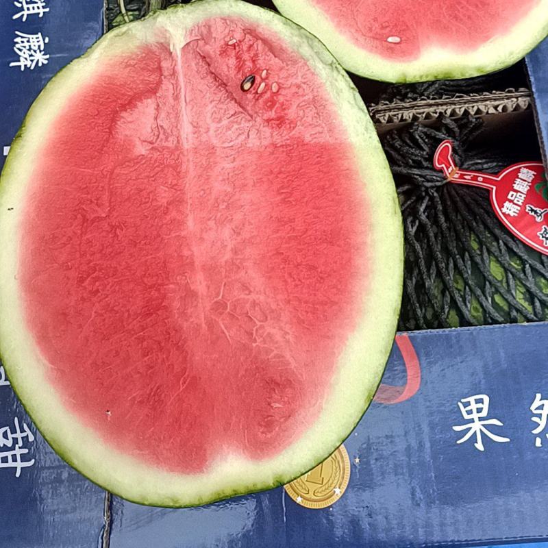 美都西瓜