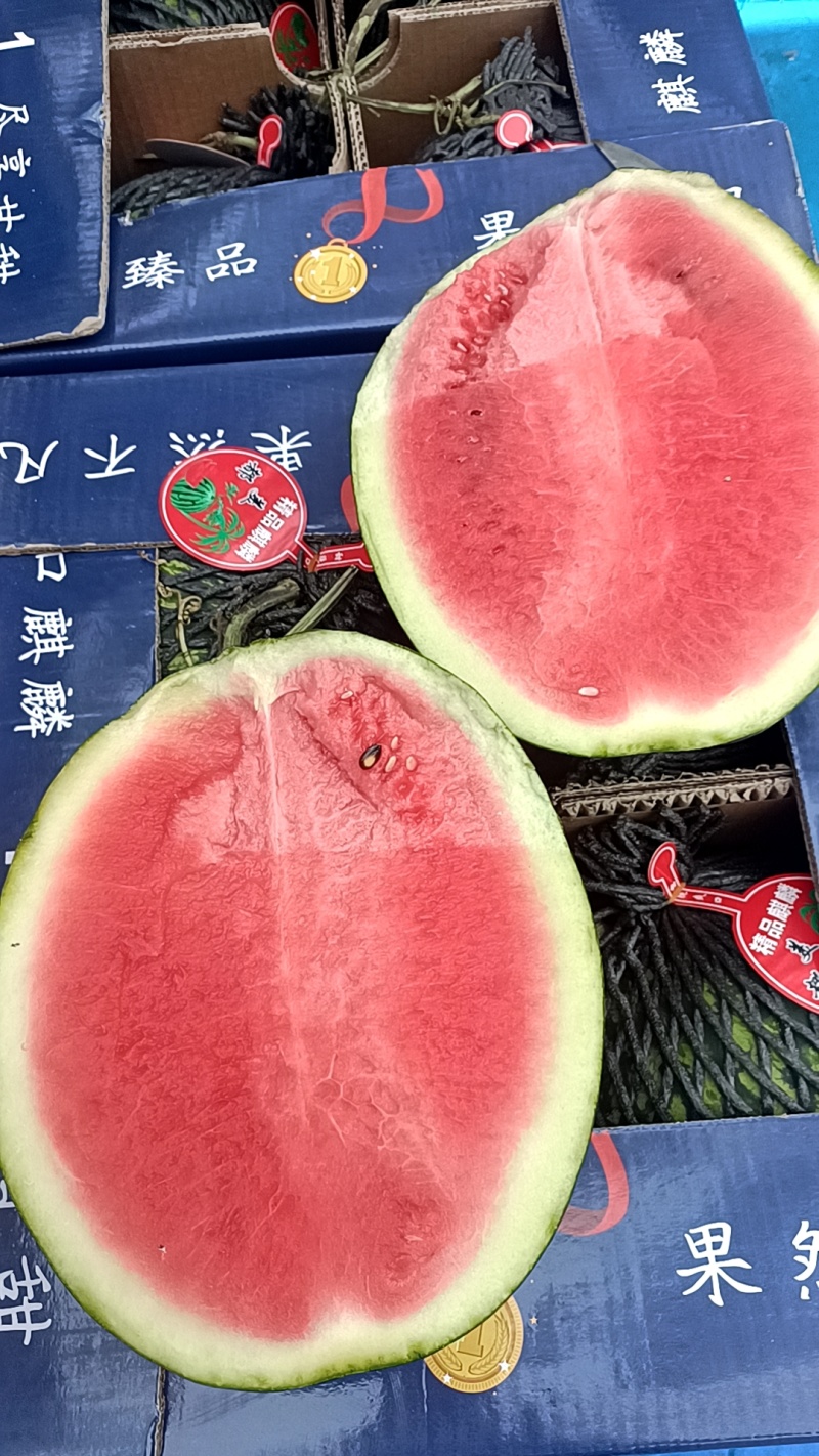 美都西瓜