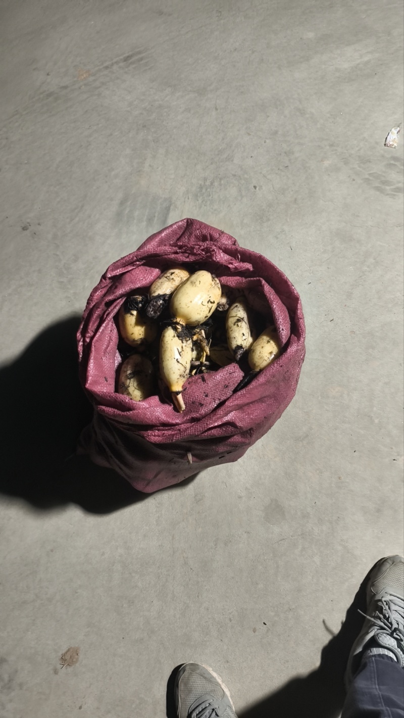 小藕头超市每天鲜货加工厂货摆地摊货