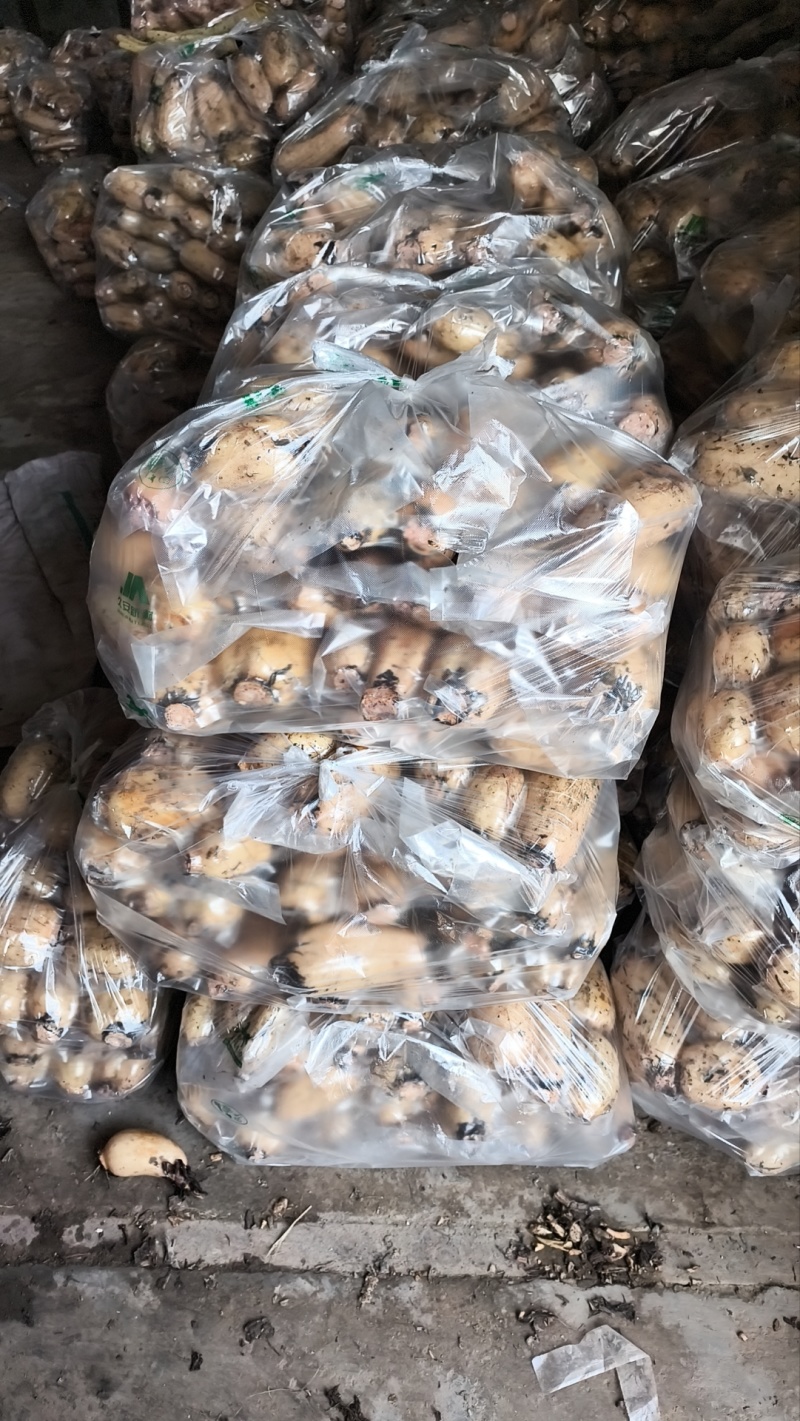 小藕头超市每天鲜货加工厂货摆地摊货