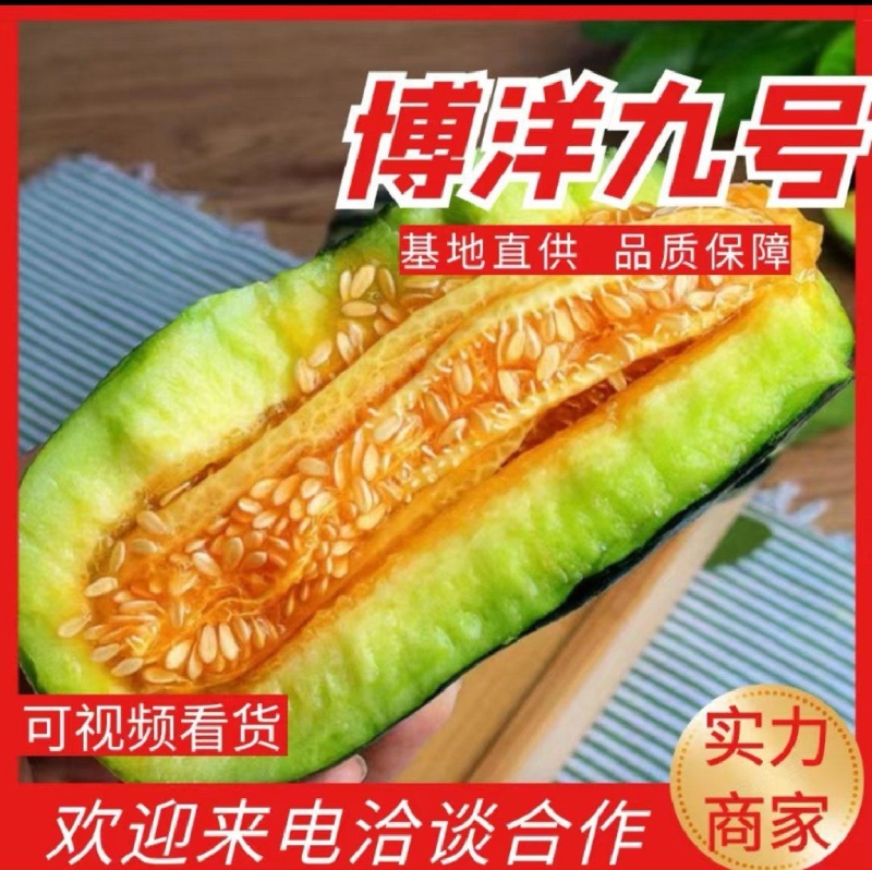 山东聊城莘县燕店甜瓜市场红金蜜大量现货，价格便宜专业代收