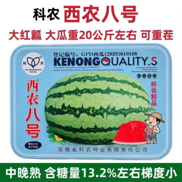 科农西农八号西瓜种子大红瓤高产可重茬高糖甜度高特大号西瓜