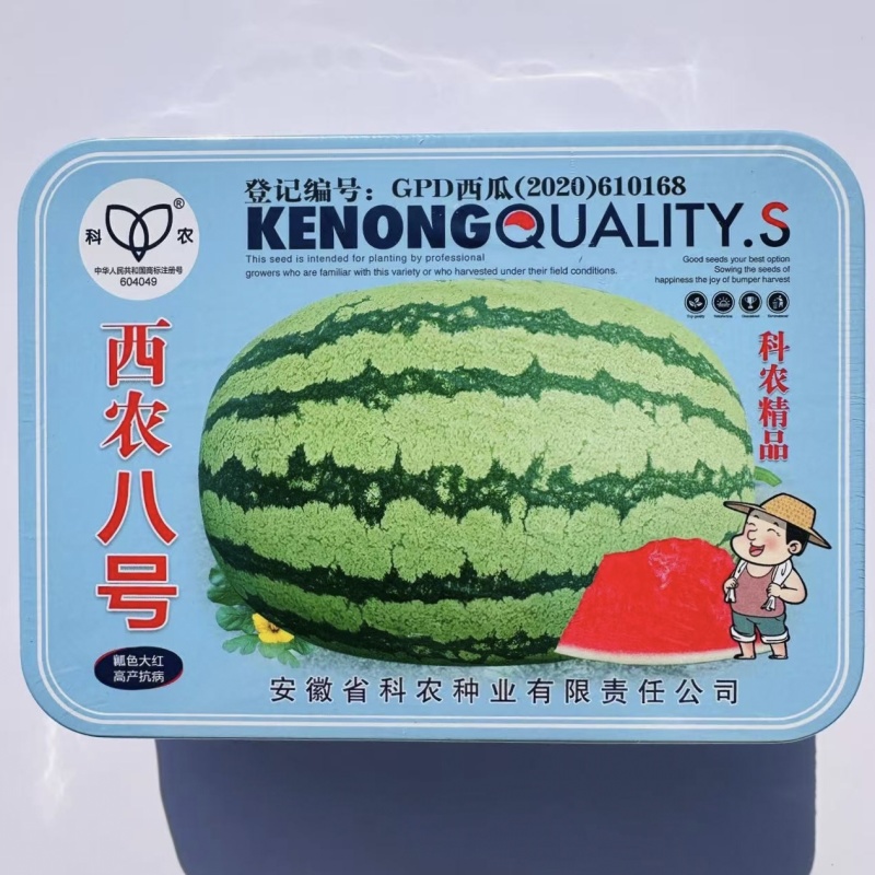 科农西农八号西瓜种子大红瓤高产可重茬高糖甜度高特大号西瓜