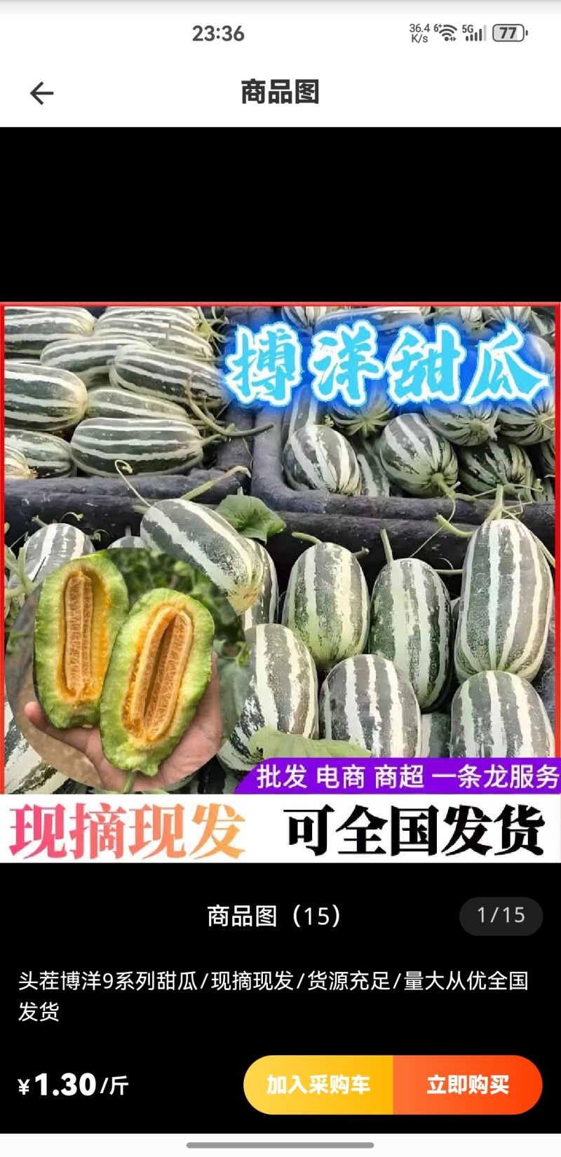 山东省聊城莘县头茬博洋9甜瓜，品质好卖相好