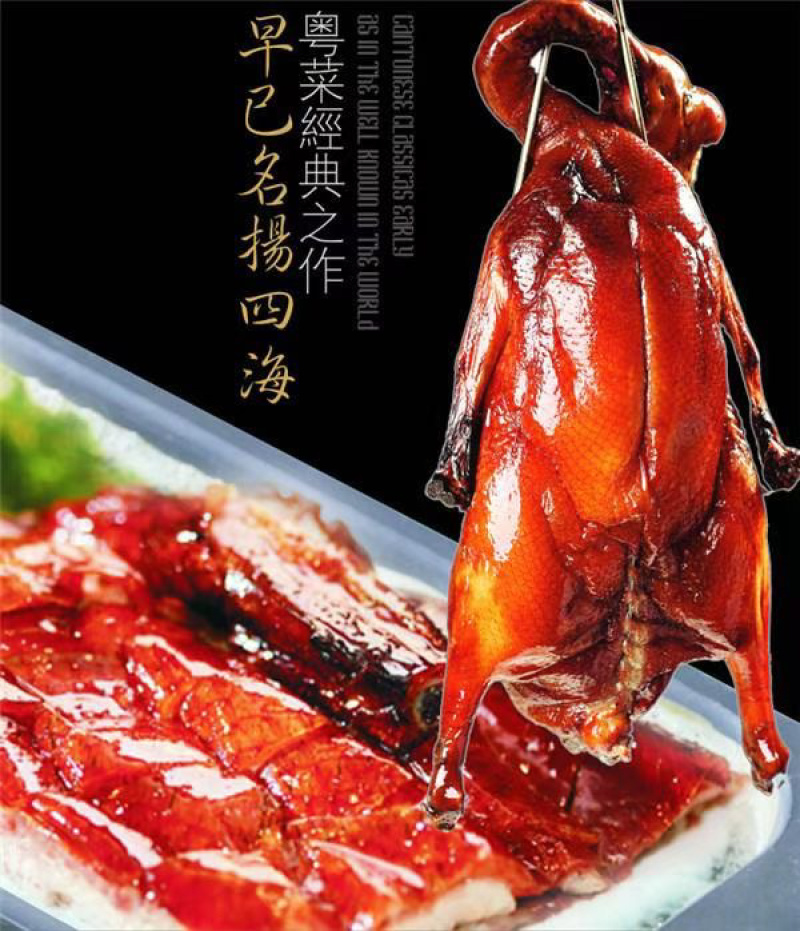 鹅-黑棕鹅