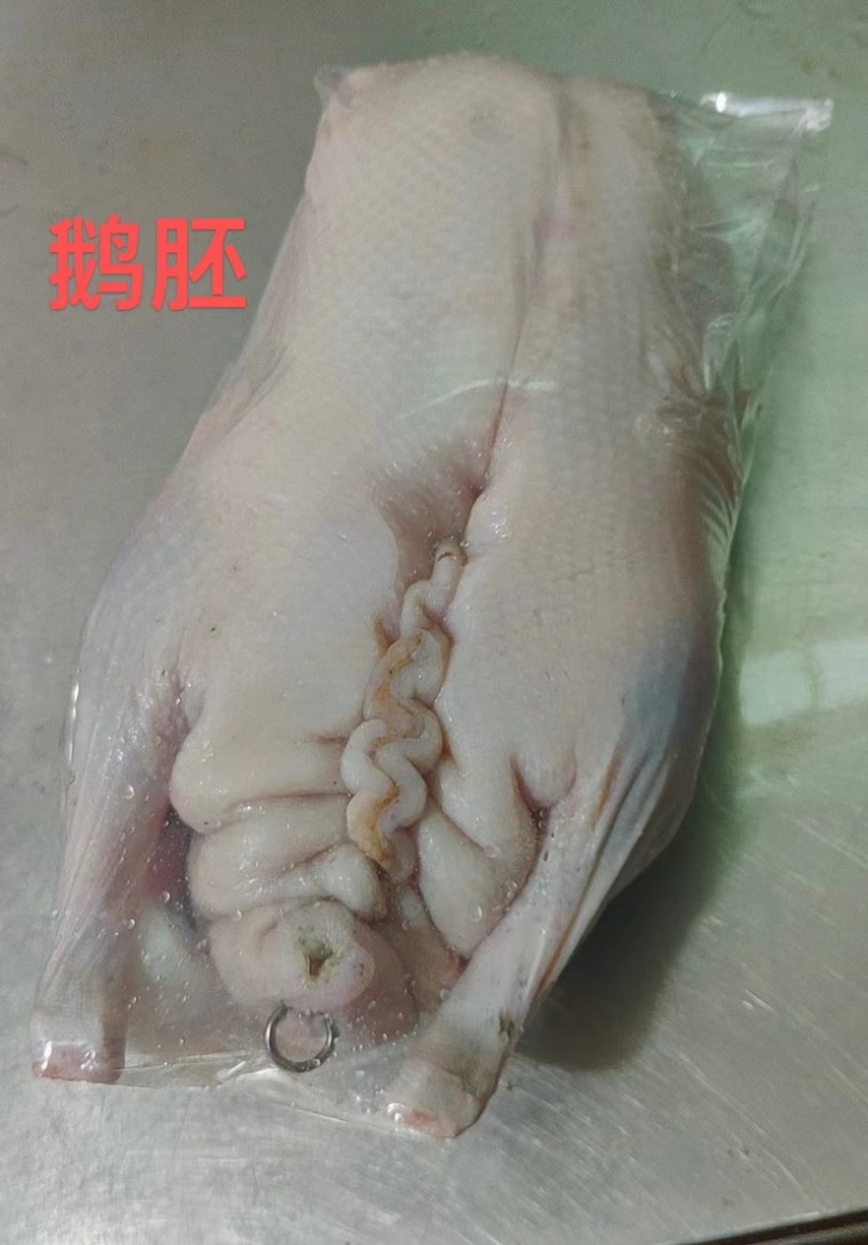 鹅-黑棕鹅