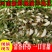 速冻鲜洋槐花对接批发市场，电商社区团购，精品保证一手货源