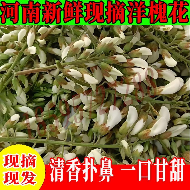 速冻鲜洋槐花对接批发市场，电商社区团购，精品保证一手货源