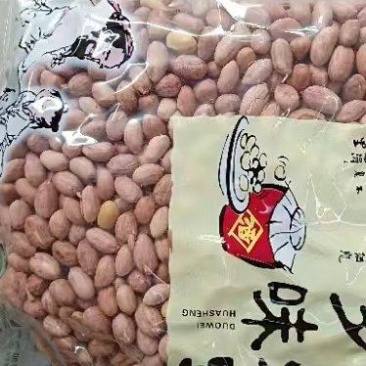 五香花生厂家批发量大从优质量保证诚信经营欢迎咨询