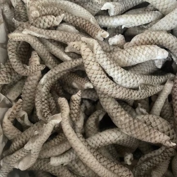 清江鱼皮