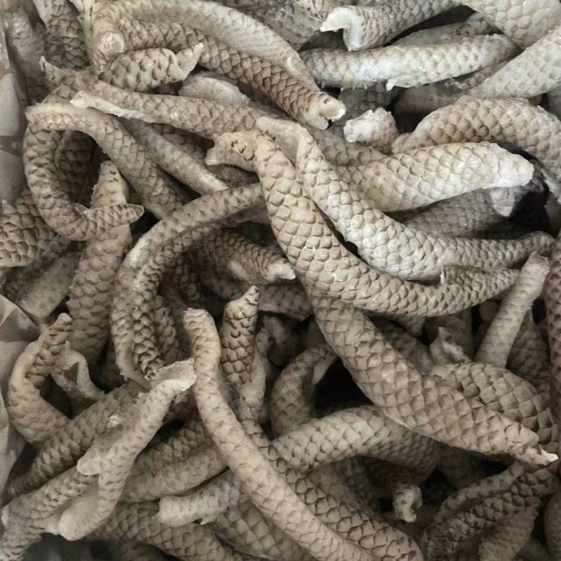 清江鱼皮