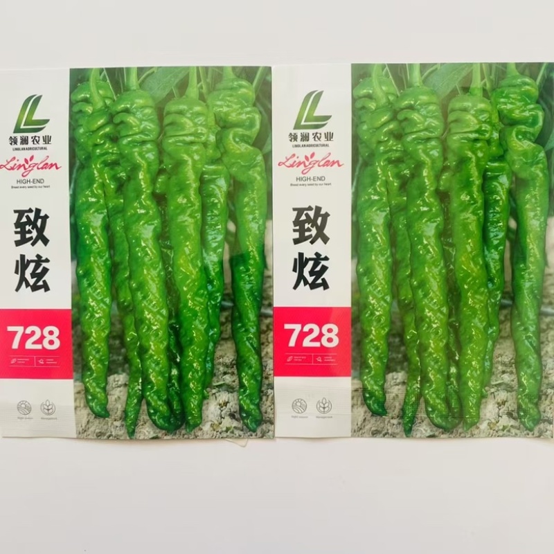 致炫728螺丝椒种子全螺高秧品种，杂交一代，种子