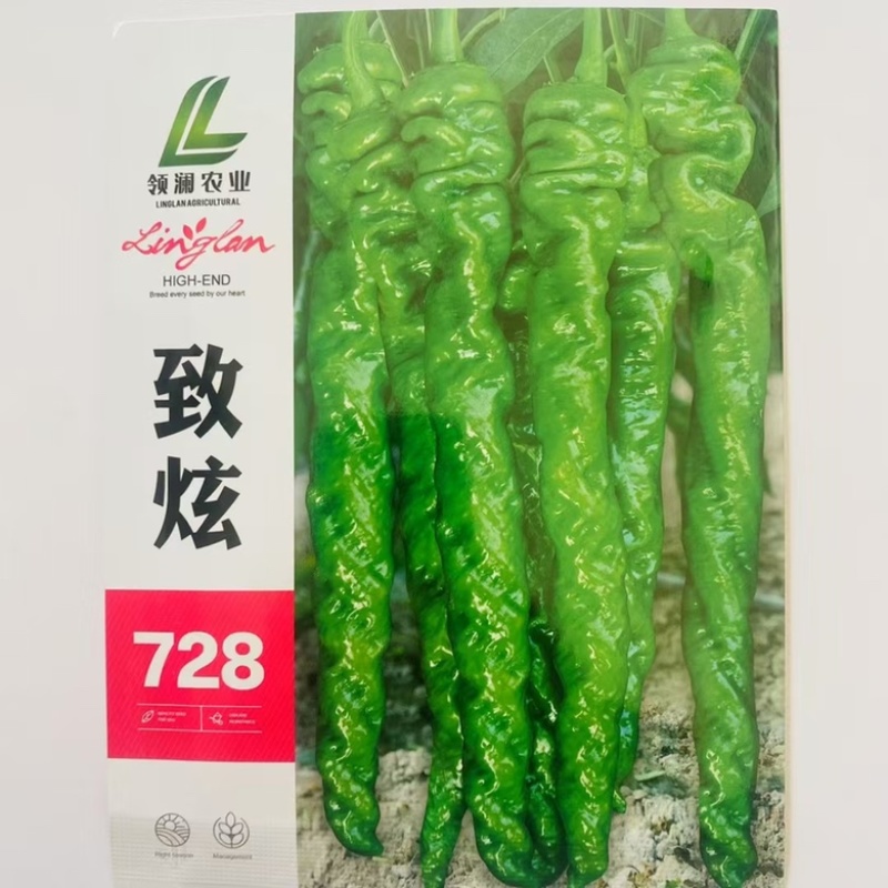 致炫728螺丝椒种子全螺高秧品种，杂交一代，种子