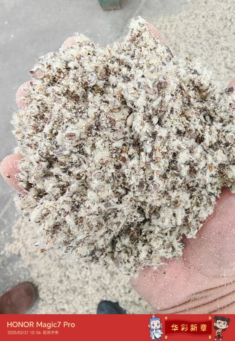 优质磨盘长绒棉籽壳，新疆棉籽壳，河北棉籽壳，山东棉籽壳皮