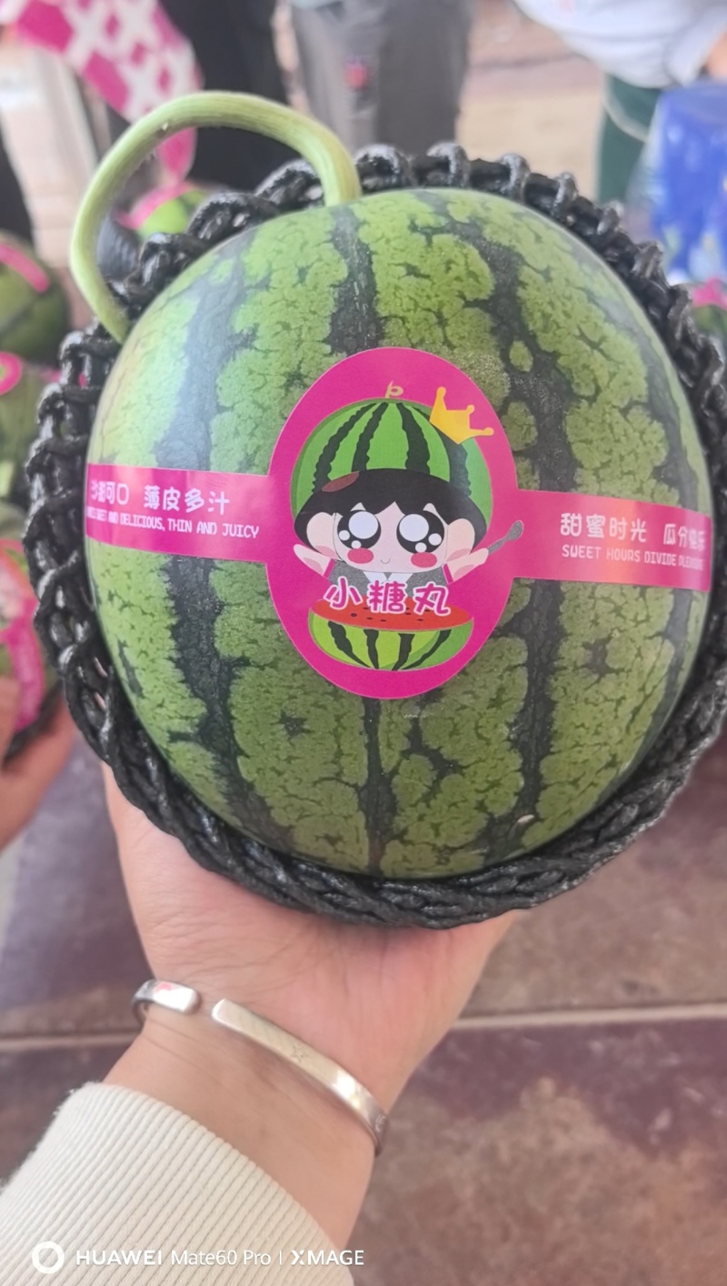 2K小糖丸西瓜，皮薄手剥瓜，产地直发代发全国