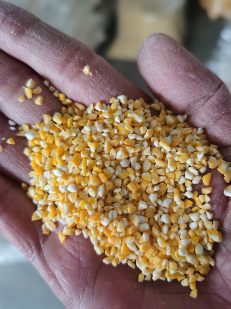 黄糯玉米糁、黄糯玉米碴、黄粘玉米渣大量供应品质保证全国发