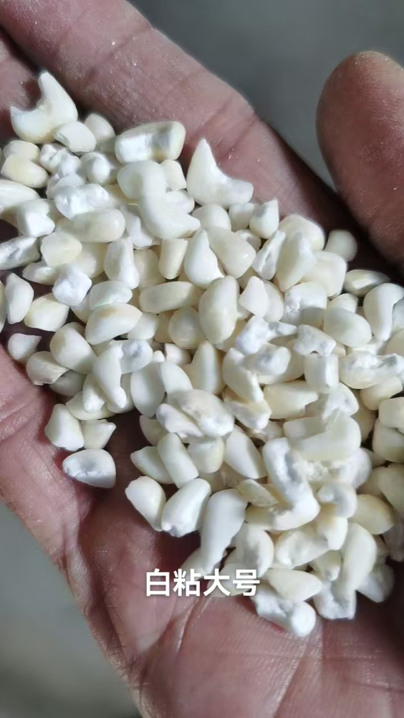 白粘糯玉米糁中号，小号，黄粘糯玉米碴，玉米糁，玉米面。