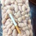 鸡腰