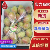 精品红香酥梨产地直发品质保证对接各类客户