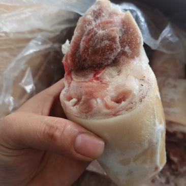 带皮小肘子