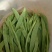 芸豆货源充足，产地直发，诚信经营，欢迎客商来电