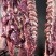 牛肉国产四分体牛肉纯干货精修去油餐饮卤肉加工厂