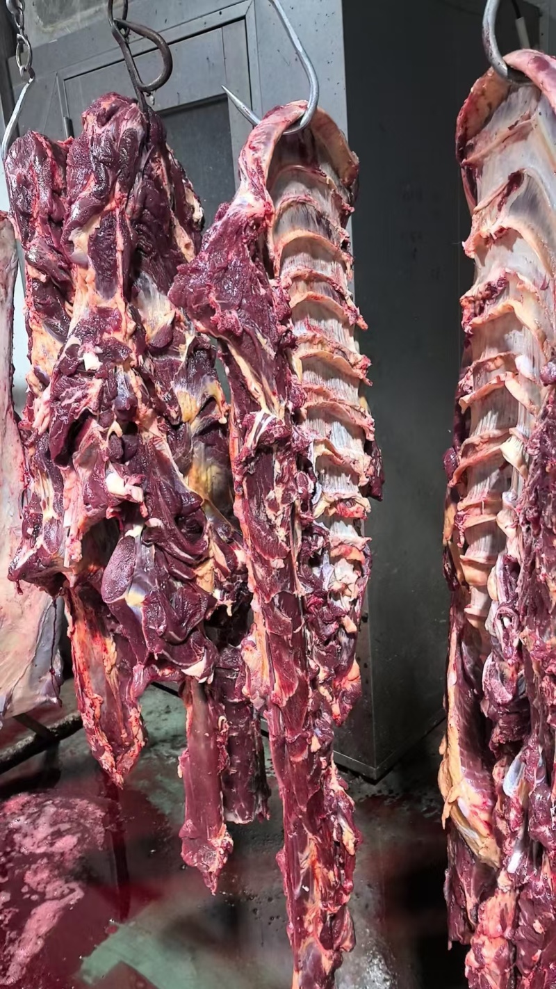 牛肉国产四分体牛肉纯干货精修去油餐饮卤肉加工厂